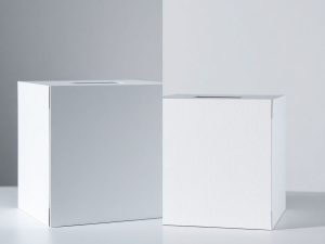 O mână alegând între două urne de vot.